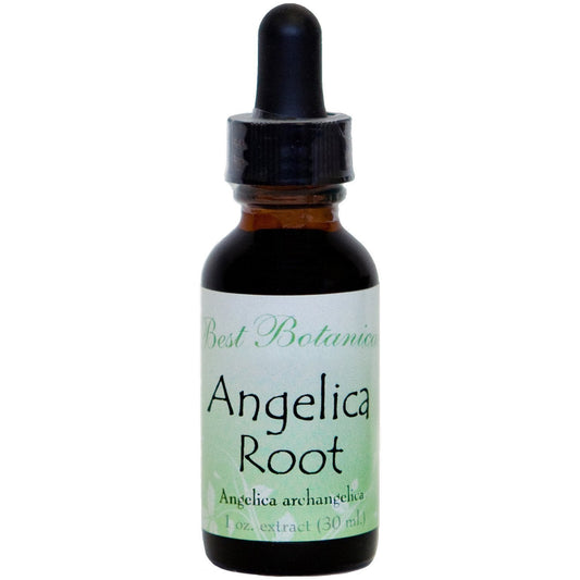 Angelica Root Extract