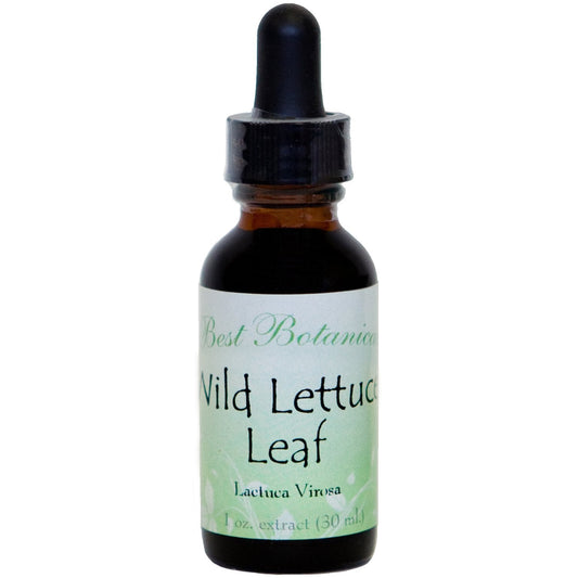 Wild Lettuce Leaf Extract