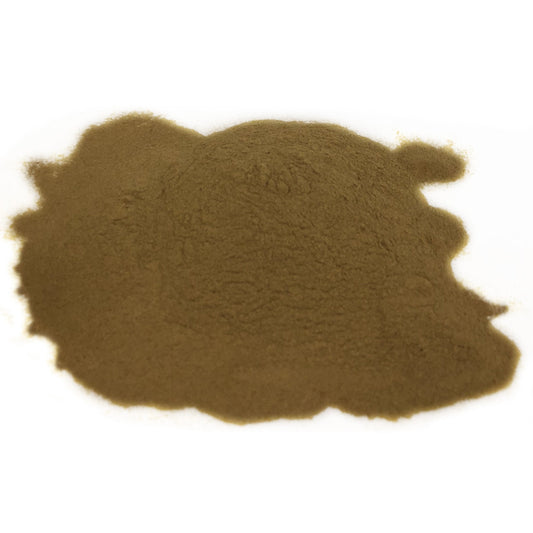 Echinacea Purpurea Root Powder